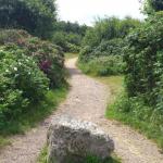 Surroundings Walk