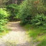 surroundings1
