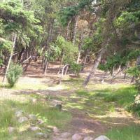 Surroundings Trollskogen