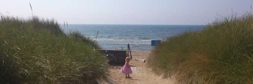 Vejby Strand Hotel located just next to the sand dunes of the beach. Many rooms with a nice view of the sea